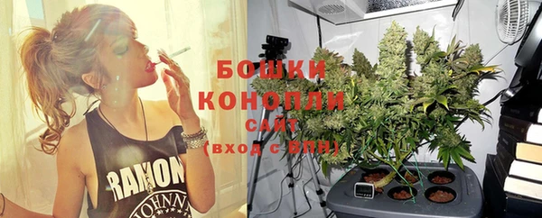 шишки Балашиха