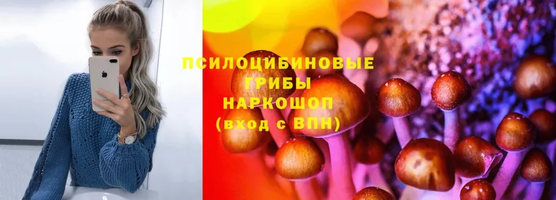 МЕГА рабочий сайт  Горбатов  Галлюциногенные грибы Psilocybe 