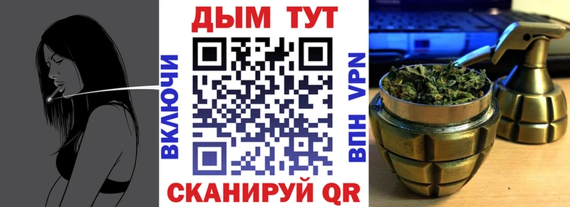 Бошки марихуана сатива  Горбатов 